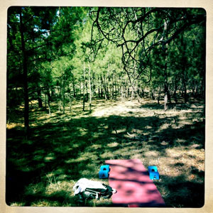 yoga mat in the woods