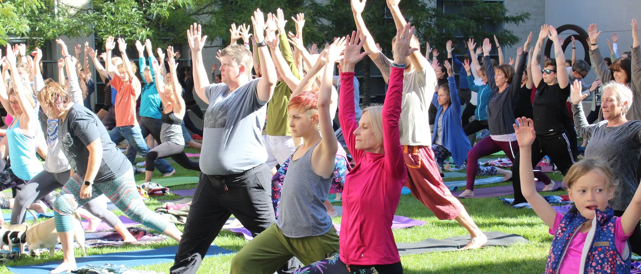 people in warrior yoga pose